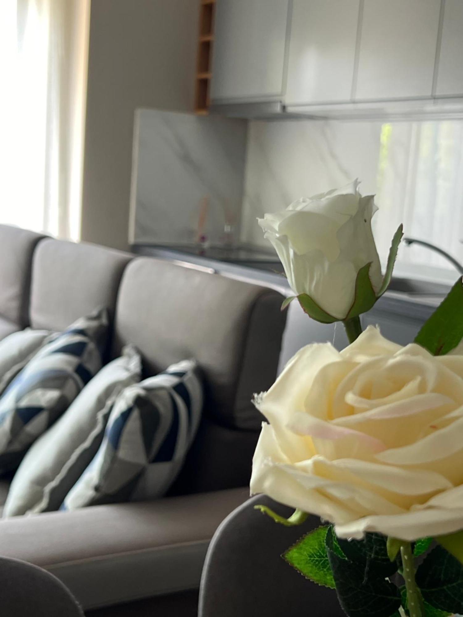 Alma Rose Apartment Korce Bagian luar foto